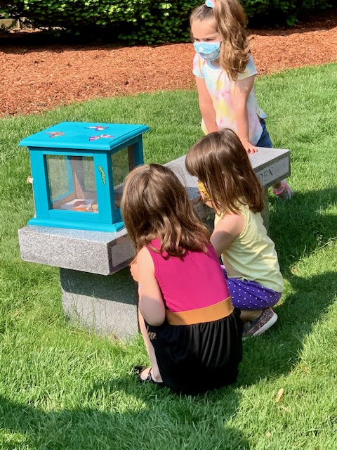 Children outside looking at butterflies